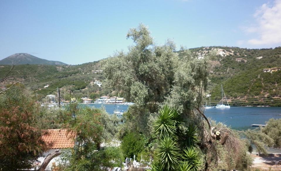 Μπουκαμβίλια - Bougainvillea Sivota  Exterior photo