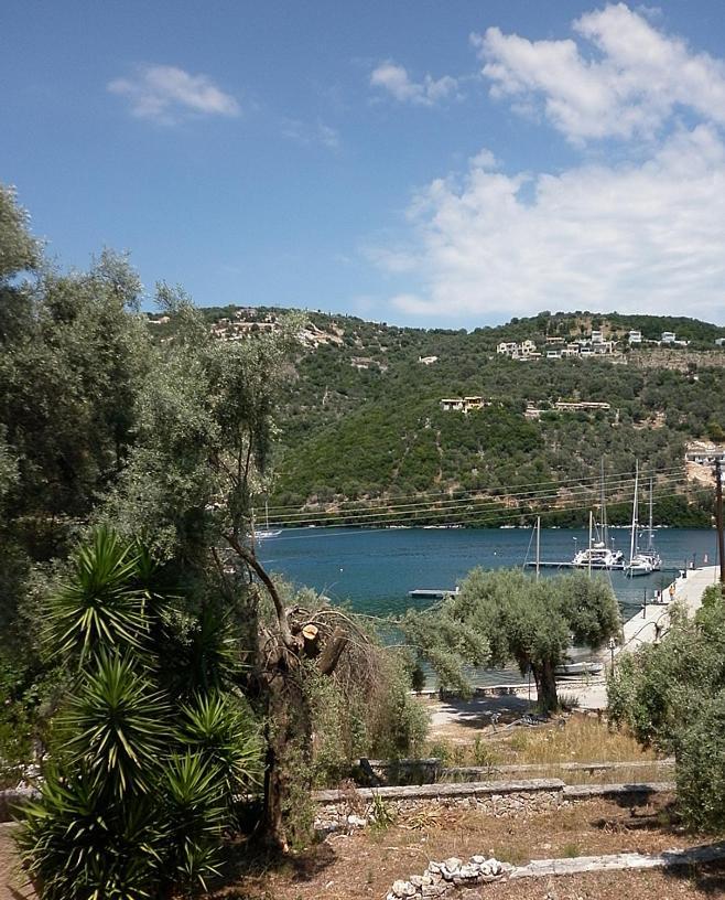 Μπουκαμβίλια - Bougainvillea Sivota  Exterior photo