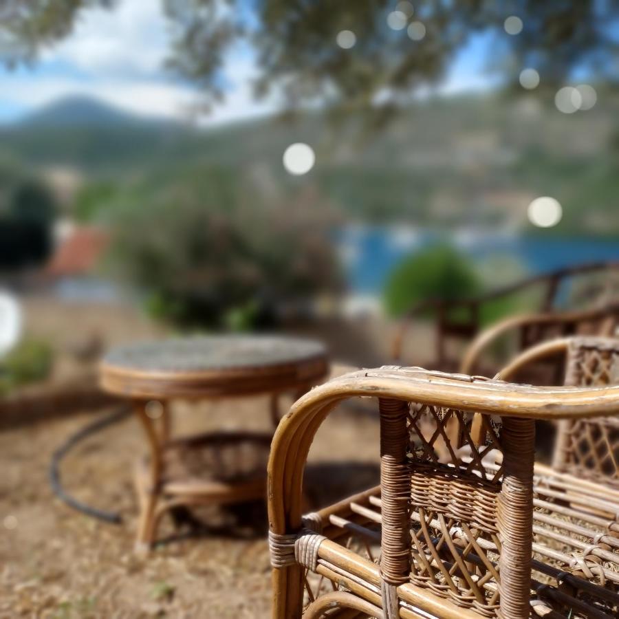 Μπουκαμβίλια - Bougainvillea Sivota  Exterior photo